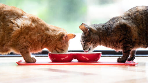 Purina one neutered cat food outlet
